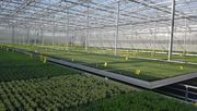 Neue Weiterbildungsangebote für den Gartenbau. Bild: GABOT.
