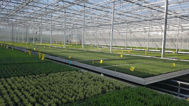 Neue Weiterbildungsangebote für den Gartenbau. Bild: GABOT.