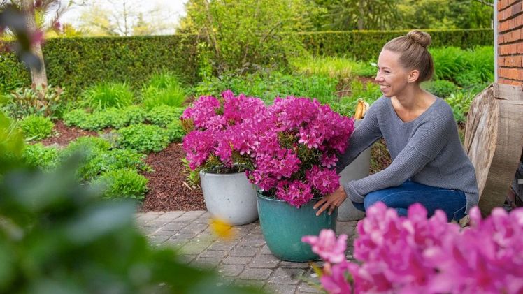 Grazeasy bringt frische Accenten auf der Terrasse. Bild: INKARHO®.