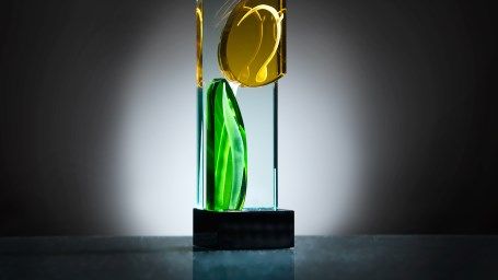 Die Gewinner des Dutch Tulip Awards werden am 10. Januar 2019 im Rahmen der feierlichen Präsentation bekannt gegeben. Bild: Royal FloraHolland. 