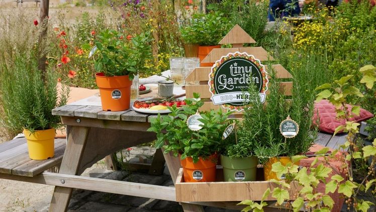 "Tiny Garden" – ein neues Konzept, entwickelt vom Desch Design Studio. Bild: Desch Plantpak.
