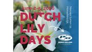 Dutch Lily Days bei Onings: Besichtigen und vergleichen Sie das weltweit größte Sortiment an blühenden Lilien. Bild: Onings.