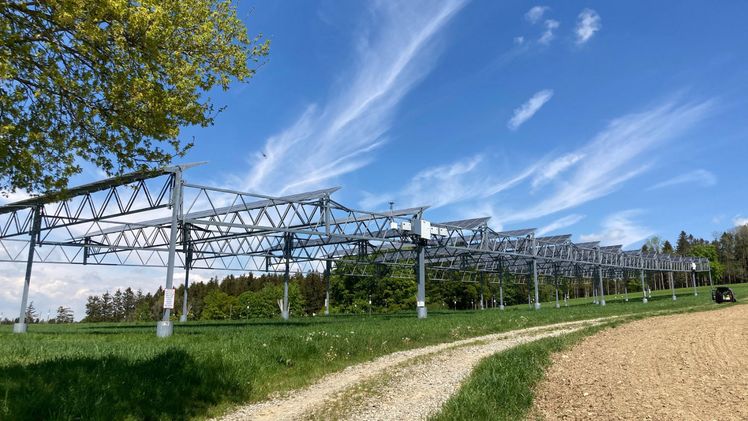Universität Hohenheim stärkt Forschung zu Agri-Photovoltaik. Bild: Universität Hohenheim / Andreas Schweiger.