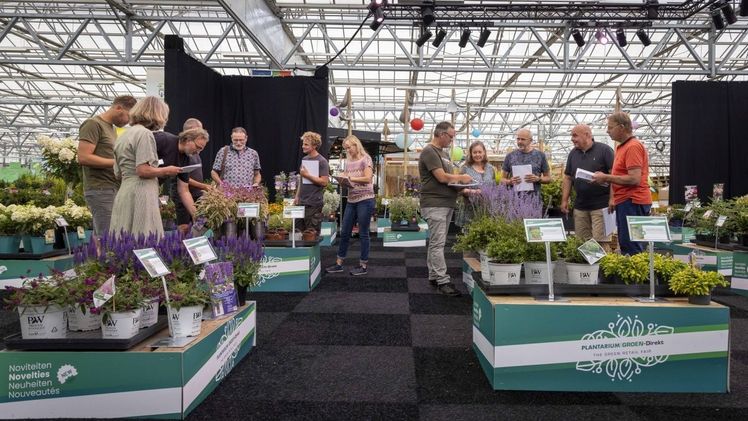 Körung der KVBC-Neuheiten auf der  PLANTARIUM|GROEN-Direkt im Herbst 2022. Bild: PLANTARIUM|GROEN-Direkt.