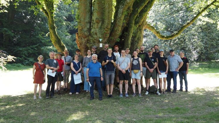 Die zukunftsfähige Auswahl und Pflege sowie Auswirkungen des Klimawandels diskutierten die Teilnehmer bei der Exkursion mit ihren jeweils breiten Erfahrungen hierzu. Foto: Valeria Schulte-Niermann.