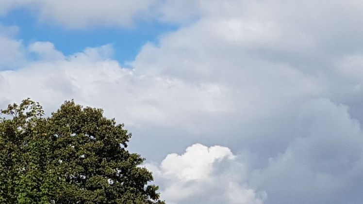Mit 10,3 Grad Celsius (°C) lag im Herbst der Temperaturdurchschnitt um 1,5 Grad über dem Wert der international gültigen Referenzperiode 1961 bis 1990. Bild: GABOT.