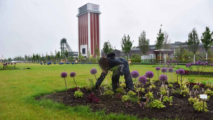 Christine Orel legt die Pflanzen in die Beete. Bild: Nina Meise, Landesgartenschau Kamp-Lintfort 2020 GmbH. Christine Orel legt die Pflanzen in die Beete. Bild: Nina Meise, Landesgartenschau Kamp-Lintfort 2020 GmbH.