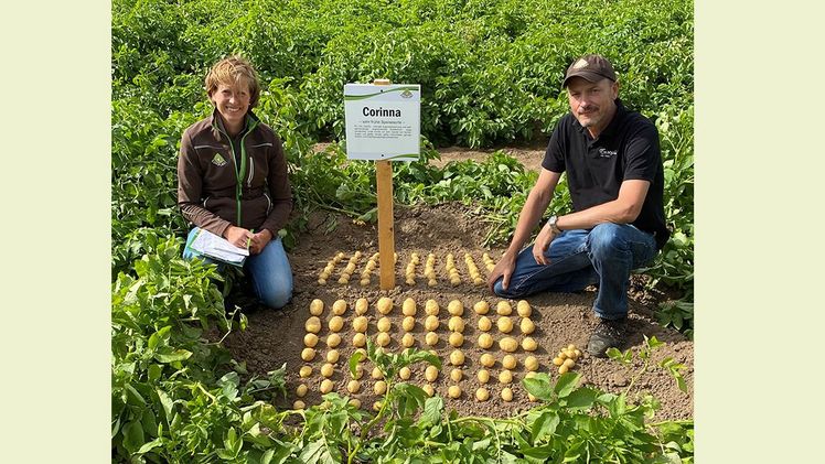 Der Sortenkiek wird sich in den kommenden Jahren mit einem festen Termin im Sommer etablieren. Bild: Europlant.