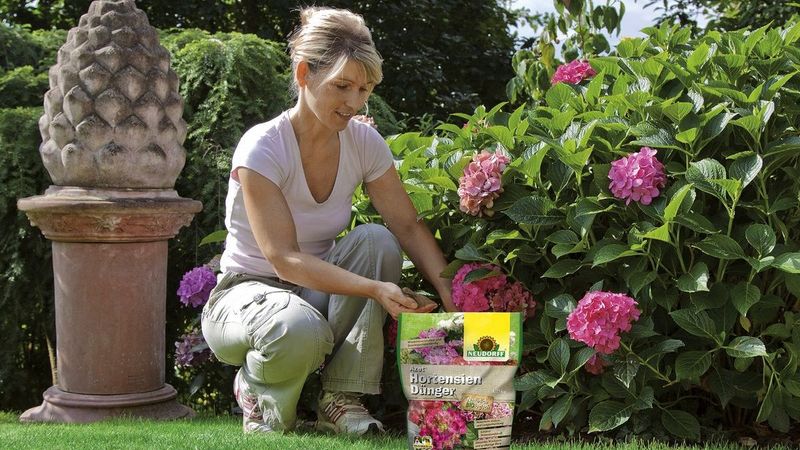 phosphat kalium dünger Purgrün Bloom-Dünger 1 Liter main image 1