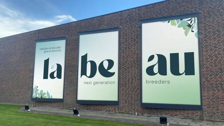 Hark/Sion und Microflor fusionieren und werden zu Labeau, next generation breeders. Bild: Labeau.