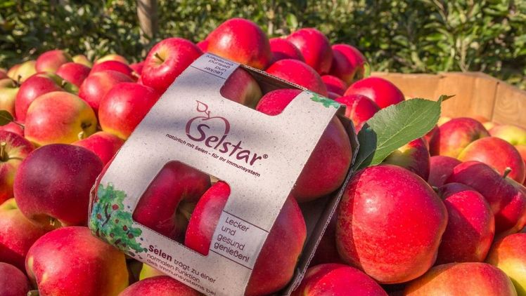 Die Nachhaltigkeit zeigt sich nicht nur bei der umweltschonenden Erzeugung im Alten Land, sondern auch durch die natürliche Kartonschale ohne Plastik. Bild: HS Osnabrück.