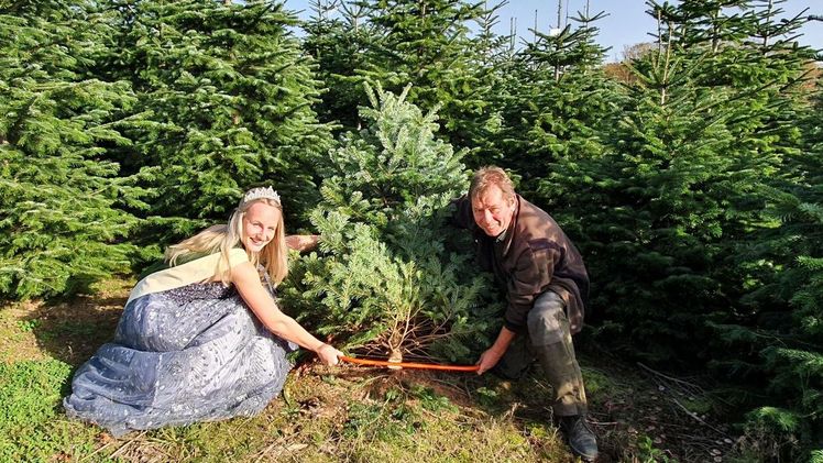 Symbolischer Start der Weihnachtsbaumsaison mit Weihnachtsbaumkönigin Laura Stegemann und Eberhard Hennecke. Bild: Gartenbau NRW.