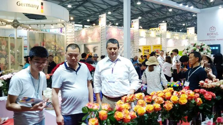 Hortiflorexpo IPM Shanghai 2017 endet mit deutlichem Besucherplus. Bild: IPM.