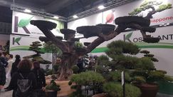 Impressionen von der Myplant & Garden 2025. Bild: GABOT.