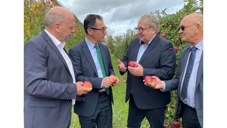 Bundeslandwirtschaftsminister Cem Özdemir und Landtagsabgeordneter Martin Hahn im Gespräch mit Bundesfachgruppen-Vorsitzendem Jens Stechmann und Vizevorsitzendem Franz-Josef Müller. Bild: Bundesfachgruppe Obstbau.