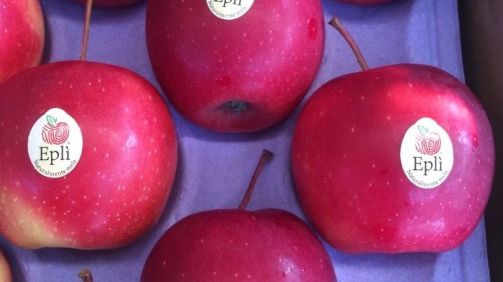 Die Apfelsorte Eplì zeichnet sich durch ihren süß-sauren Geschmack aus. Bild: Eplì.