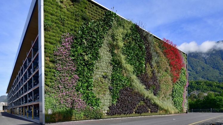 Gewinner „BuGG-Fassadenbegrünung des Jahres 2022“: die BLS Werkstätten in Bönigen. Bild: Skygardens AG & Leistungsfotografie.ch. 