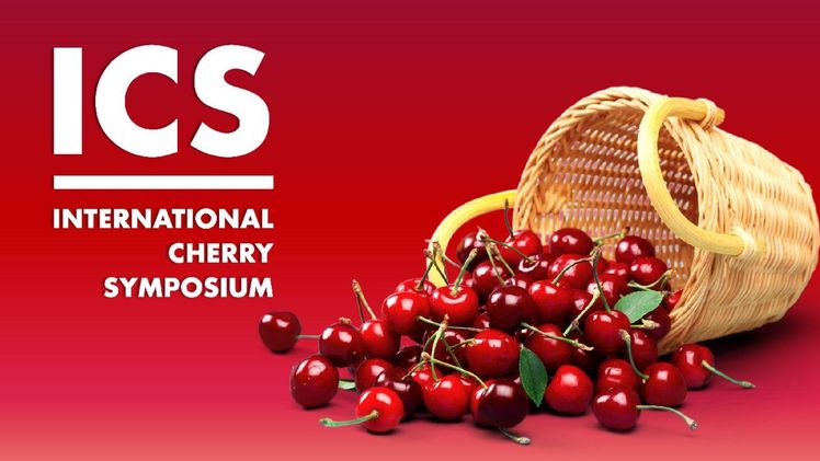 Das Internationale Kirschensymposium (ICS) findet vom 2. bis 6. Mai statt. Bild: ICS.