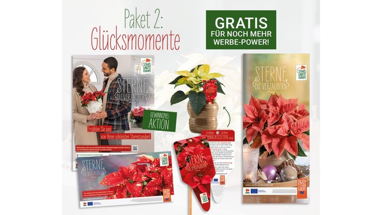 Stars for Europe (SfE) ist die Marketinginitiative der europäischen Weihnachtssternzüchter Dümmen Orange, Selecta One, Beekenkamp Plants und Syngenta Flowers. Bild: Stars for Europe.