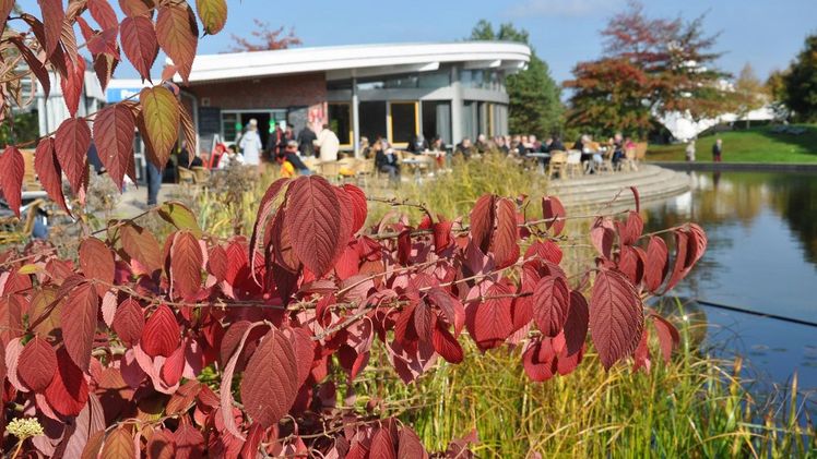 "Herbstimpressionen im Park" im Oktober. Bild: Park der Gärten. 