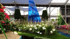 Das Gestalterteam hat es hervorragend verstanden, das maritime Thema mit Schnittblumen, Zierpflanzen und Gehölzen umzusetzen. Bild: IGA Berlin. Das Gestalterteam hat es hervorragend verstanden, das maritime Thema mit Schnittblumen, Zierpflanzen und Gehölzen umzusetzen. Bild: IGA Berlin.