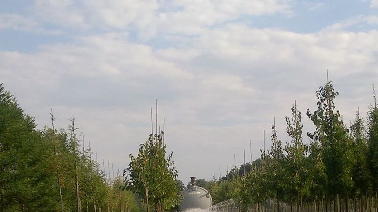 Jens Sander vor einem Exponat von Uwe Thomsen, das veranschaulicht, wie eine nachträgliche Erhöhung des Erdniveaus beim Baum Fäulnis und Sauerstoffmangel hervorruft. Bild: Sander.