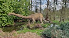 Dinosaurier im Arboretum. Foto: Jana Stoppel, KLPIBSL.