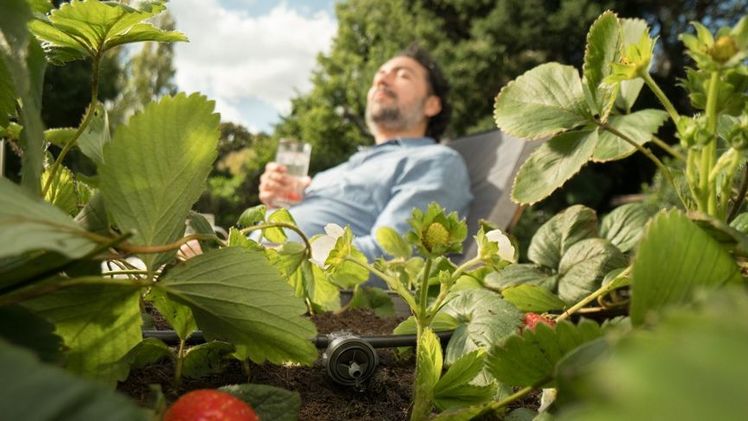 GARDENA Micro-Drip-System Tropfbewässerung Set Hochbeet/Beet – bringt das Wasser direkt an die Wurzeln, präzise und gleichmäßig. Stiftung Warentest Qualitätsurteil: Gut (1,6). Bild: GARDENA.