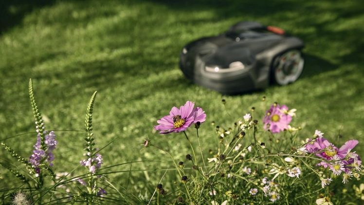 Mit dem neuen Rewilding Mode für Husqvarna Automower Mähroboter bleiben 10% des Rasens zugunsten einer Wildwiese ungemäht. So können Gartenbesitzer unkompliziert Platz für mehr Artenvielfalt schaffen. Bild: Husqvarna.  Mit dem neuen Rewilding Mode für Husqvarna Automower Mähroboter bleiben 10% des Rasens zugunsten einer Wildwiese ungemäht. So können Gartenbesitzer unkompliziert Platz für mehr Artenvielfalt schaffen. Bild: Husqvarna.
