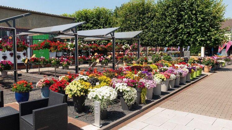 Schaugärten von Dümmen Orange den ganzen Sommer über geöffnet. Bild: Dümmen Orange.