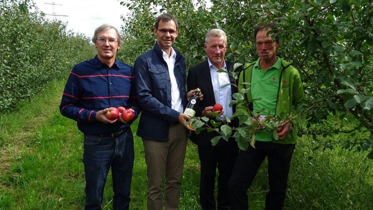 (v.l.) Erwerbsobstbauern Obmann Jens Blum, Landeshauptmann Markus Wallner, Landesrat Erich Schwärzler und Obstbauer Martin Winder. Bild: VLK, Gerhard Wirth.