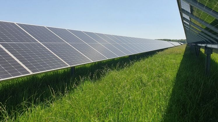 Agri-Photovoltaik trägt zur Entschärfung der Flächenkonkurrenzen bei. Bild: GABOT.