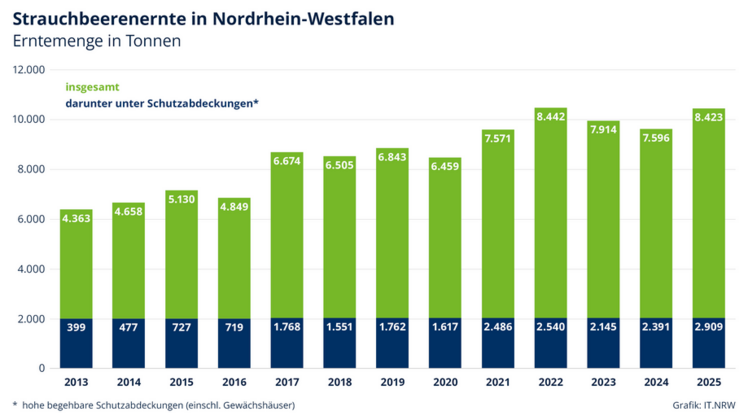 65,5% der Erntemenge wurde im Freiland kultiviert. Bild: IT.NRW.