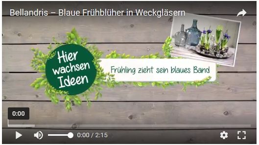 Bellandris: Wird Youtuber