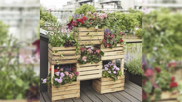 Beim Urban Gardening erobert die Natur selbst unwirtliche Ecken der Stadt! Bild: Pelargonium for Europe.