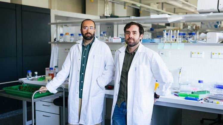 Suayb Üstün und Manuel González-Fuente (rechts) wollen mehr über das Immunsystem von Pflanzen erfahren. Bild: © RUB, Kramer.
