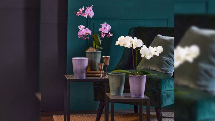 „Medina Glaze“ fesselt mit magischem Design. Bild: Soendgen Keramik.