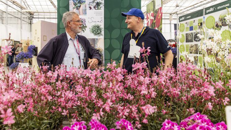 Impression von den FlowerTrials® 2024. Bild: FlowerTrials®.