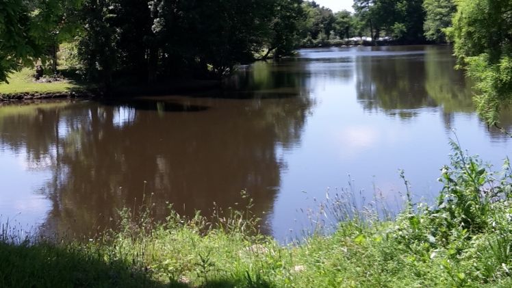 Die bisherigen Regeln zum Gewässerschutz gehen dem Europäischen Gerichtshof nicht weit genug. Aus diesem Grund mussten die Ministerien nachbessern. Bild: GABOT.