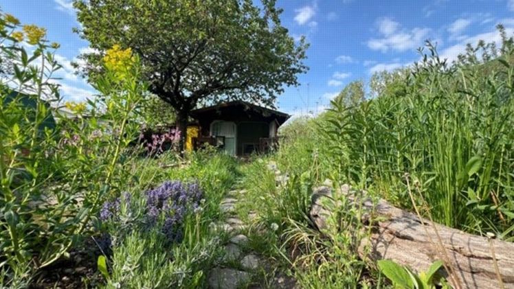 In Deutschland gibt es rund 17 Mio. Gärten, die von etwa 36 Millionen Menschen genutzt werden. GartenDiv hofft auf neue Einblicke in ihre Biodiversität. Bild: Dr. Ingmar Staude, Copyright: Universität Leipzig.