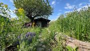 In Deutschland gibt es rund 17 Mio. Gärten, die von etwa 36 Millionen Menschen genutzt werden. GartenDiv hofft auf neue Einblicke in ihre Biodiversität. Bild: Dr. Ingmar Staude, Copyright: Universität Leipzig.