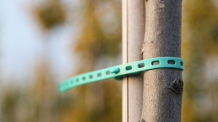 Der Orbit, eine neue und innovative Lösung von A Raymond Agriculture. Bild: A Raymond Agriculture.