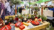 IPM Essen 2018 versammelt die internationale grüne Branche. Bild: IPM 2018.