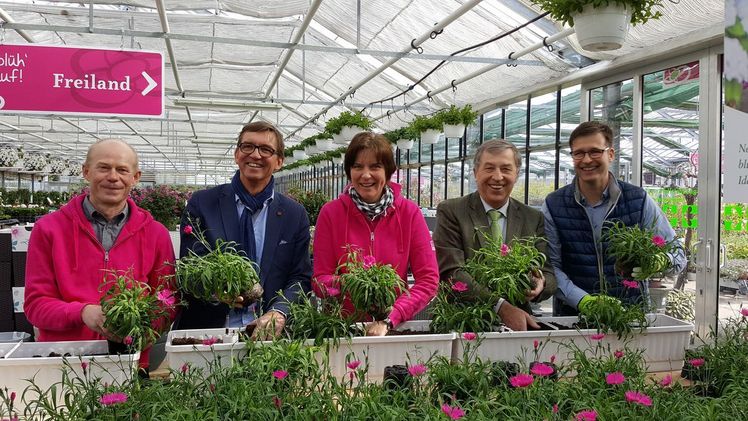 Beet- und Balkonpflanzensaison 2017