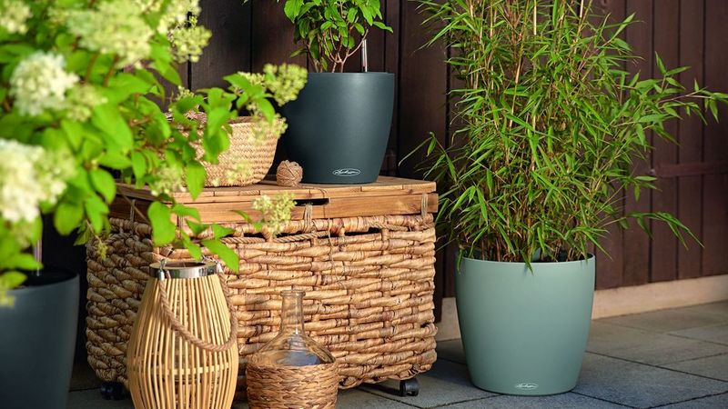 LECHUZA: Blauer Engel und neue Gren - CLASSICO ECO | Gabot.de