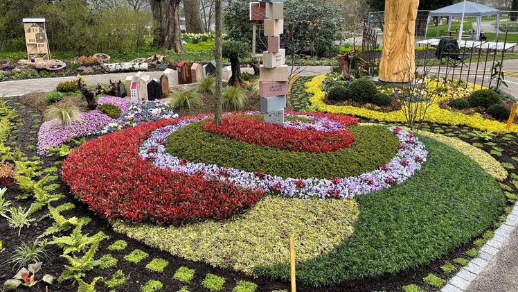 In diesem Jahr wurde Photinia fraseri 'Chico' Teil eines Designs, dass der Fachjury im Wettbewerb “Frühjahrsbepflanzung” eine Goldmedaille und einen Ehrenwert war. Bild: Plantipp.