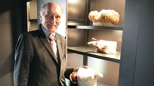 BDC-Mitglied und Pilzbotschafter Peter Marseille vor Ort in Heilbronn. Bild: BDC.