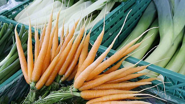 Möhren. Bild: LID.CH.