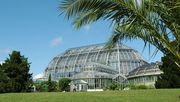 Das Große Tropenhaus des Botanischen Gartens und des Botanischen Museums Berlin. Bild: I. Haas.