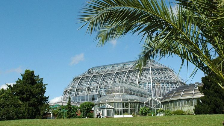 Die Botanische Nacht 2021 setzt auf ein umfassendes Hygiene- und Sicherheitskonzept. Bild: Botanischer Garten Berlin. 